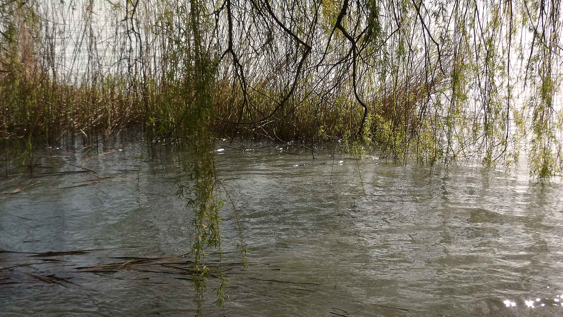 A telekre egy 2 egységes nyaralóépület lett tervezve 